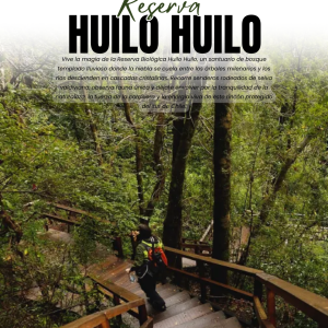 Tour Reserva Biológica Huilo Huilo